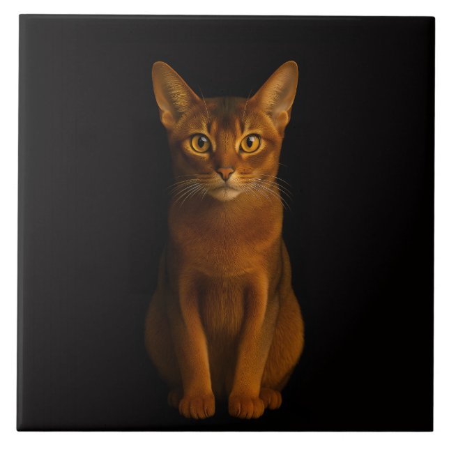 Black 4 Luxe Tile with Abyssinian Beauty (Frente)