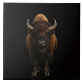 Black 4 Luxe Tile with American Bison