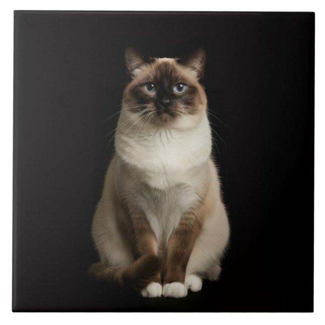Black 4 Luxe Tile with Birmanese Cat (Frente)