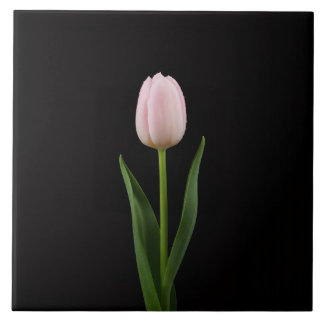 Black 4 Luxe Tile with Blush Pink Tulip