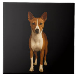 Black 4 Luxe Tile with Classy Basenji Dog