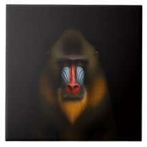 Black 4 Luxe Tile with Exotic Mandrill Monkey