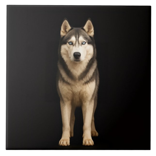 Black 4 Luxe Tile with Icy Elite Husky (Frente)