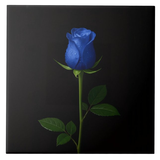 Black 4 Luxe Tile with Midnight Blue Rose (Frente)