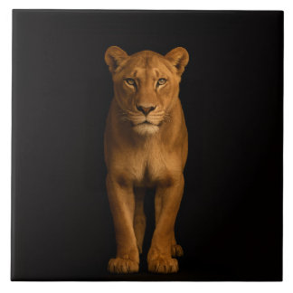 Black 4 Luxe Tile with Noble Lioness