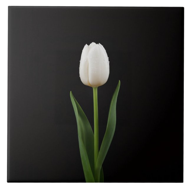 Black 4 Luxe Tile with Pearl White Tulip (Frente)