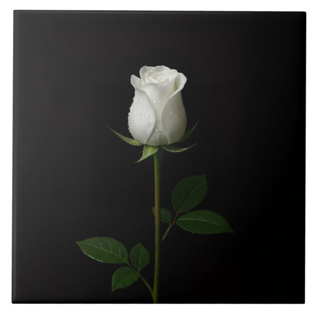 Black 4 Luxe Tile with Pure White Rose (Frente)