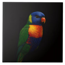 Black 4 Luxe Tile with Rainbow Lorikeet Parrot