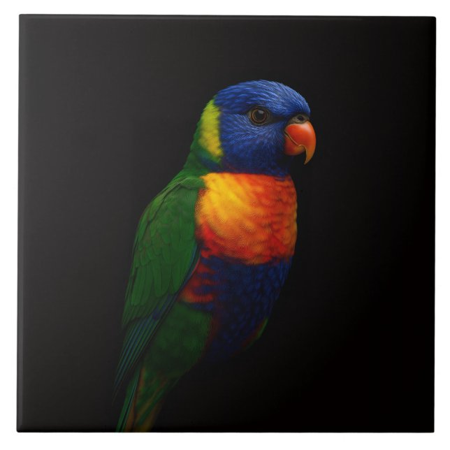 Black 4 Luxe Tile with Rainbow Lorikeet Parrot (Frente)