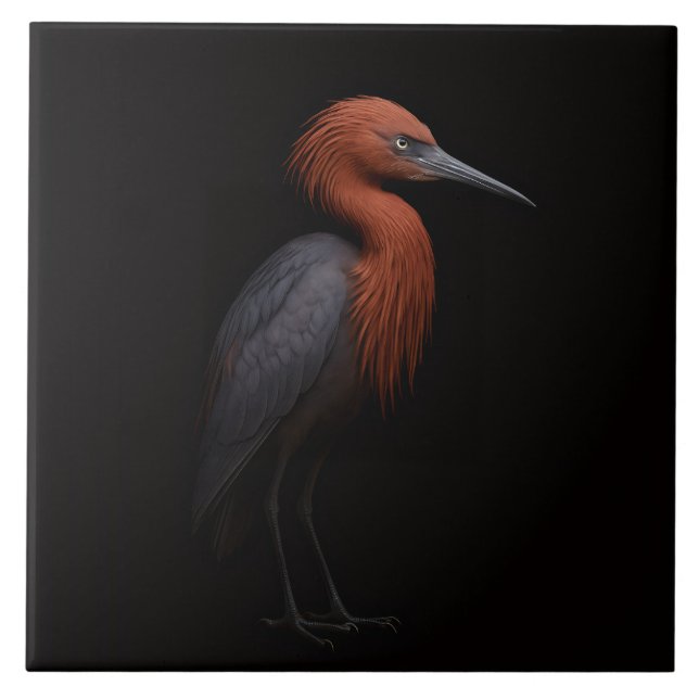 Black 4 Luxe Tile with Reddish Egret (Frente)