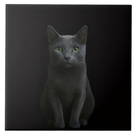 Black 4 Luxe Tile with Russian Blue Cat