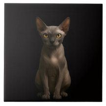 Black 4 Luxe Tile with Sphynx Cat