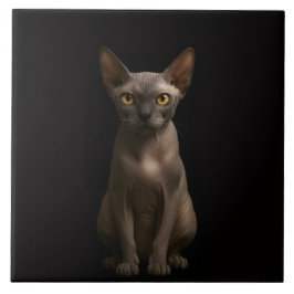 Black 4 Luxe Tile with Sphynx Cat
