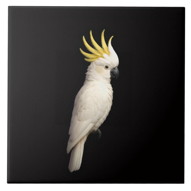 Black 4 Luxe Tile with Sulphur Crested Cockatoo (Frente)