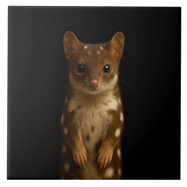 Black 4 Luxe Tile with Sweet Quoll (Frente)