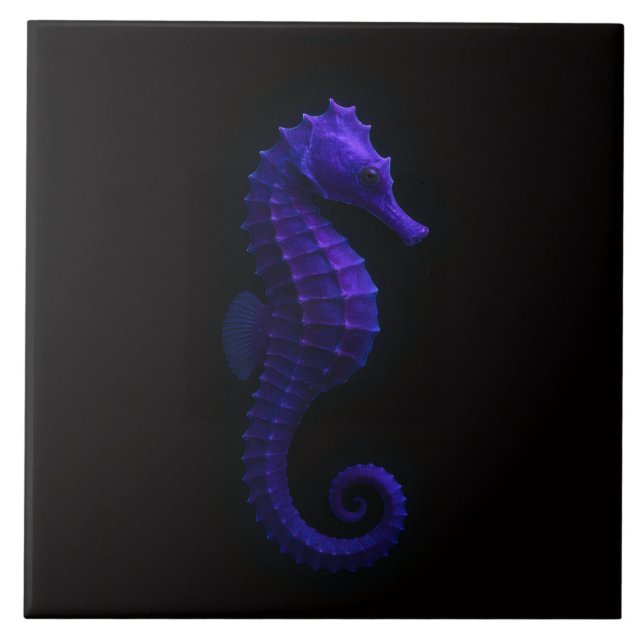 Black 4 Luxe Tile with Violet Blue Seahorse (Frente)