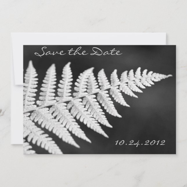 Black and White Fern Salva o Convite de Data (Frente)
