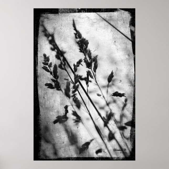 Black and White Grass Poster (Frente)