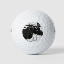 Black and White Lying cow