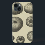 Black and White Starfish<br><div class="desc">Just look at all these shape and sizes of the black and white sand dollars in this photo. If you were ever curious about the different stages of how a sand dollar is formed, get this unique image today. In this photo, it shows the seven different stages the sand dollar...</div>