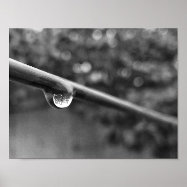 black and white water drop photo poster (Frente)