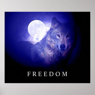Black Blue Night Wolf Head Fulmoon Poster
