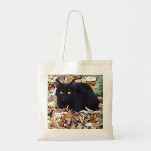 Black cat Autumn deixa Bolsa