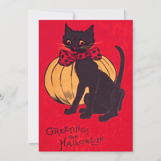 Black Cat Bowtie Pumpkin Vintage (Frente)