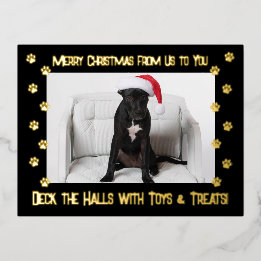 Black Deck the Halls With Toys & Treats 2 Photo