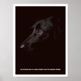 Black dog Poster