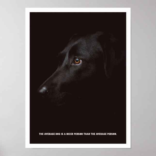Black dog Poster (Frente)