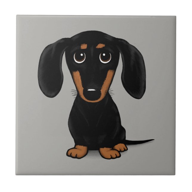 Black e Tan Dachshund, de curte curta (Frente)