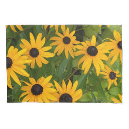 Black Eyed Susan