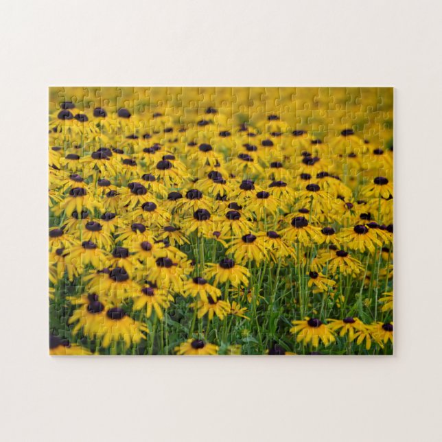 Black Eyed Susan - Floral Quebra-cabeça (Horizontal)