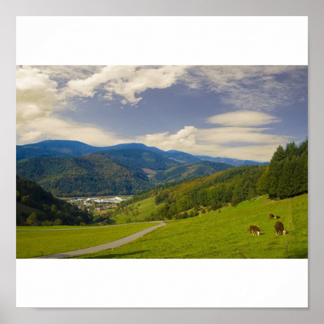 Black Forest Poster (Frente)