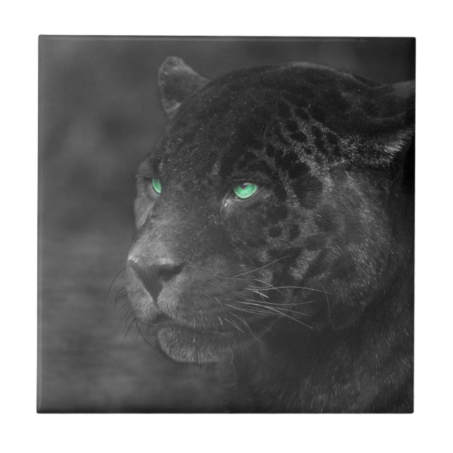 Black Jaguars Emerald Gaze (Frente)