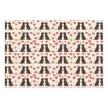 Black Lab Love - Dia de os namorados Dog Wraps Pap
