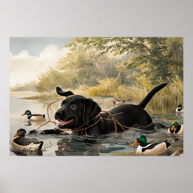 Black Labrador Puppy, Labrador caçando Poster (Frente)