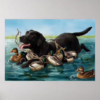 Black Labrador Retriever, Duck Hunters Poster