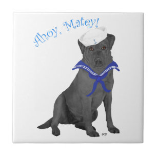 Black Labrador Retriever Sailor