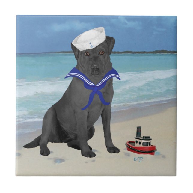 Black Labrador Retriever Sailor (Frente)