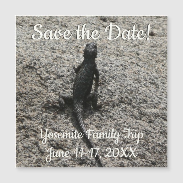 Black Lizard (Frente)