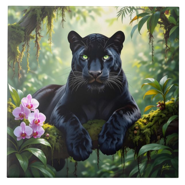 Black Panther in the Jungle (Frente)