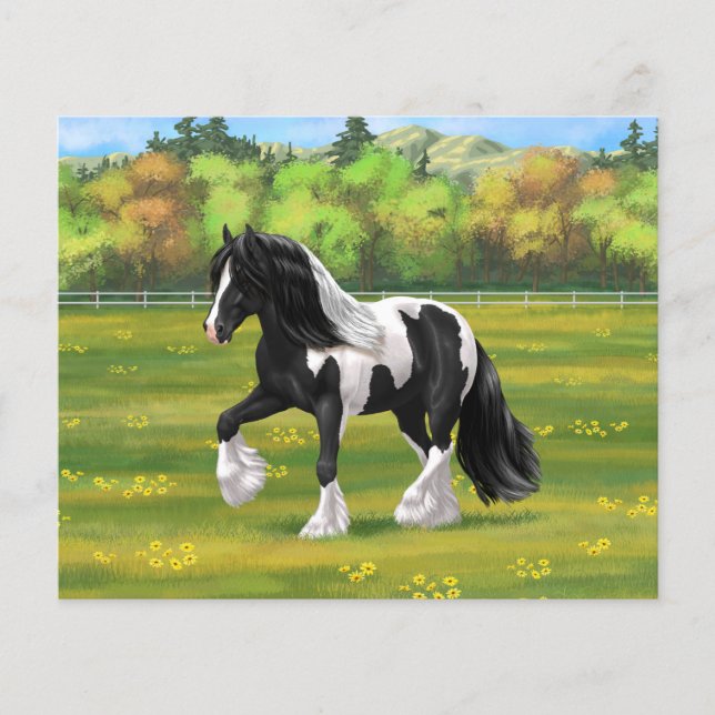 Black Pinto Piebald Gypsy Vanner Draft Horse (Frente)