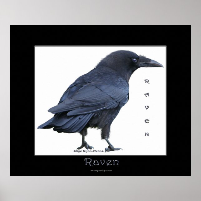 BLACK RAVEN Art Poster (Frente)