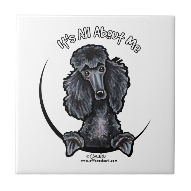 Black Standard Poodle IAAM (Frente)
