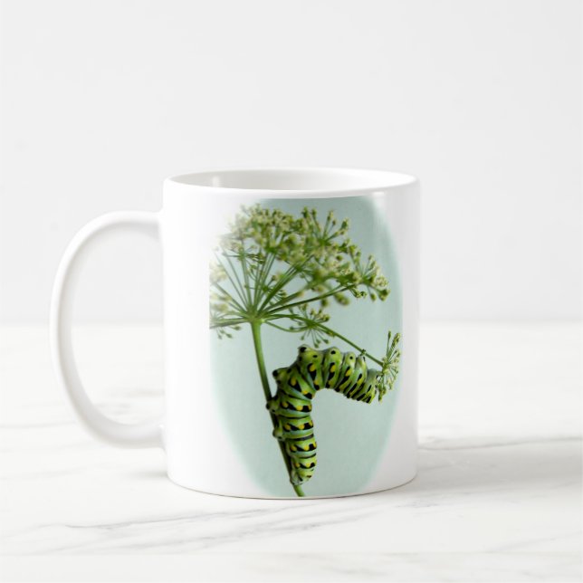 Black Swallowtail - Lagarta que come caneca (Esquerda)