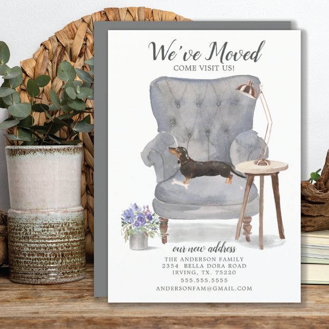 Black & Tan Dachshund | Anúncio de mudança (Criador carregado)