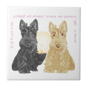 Black & Wheaten Boas Noites Scotties
