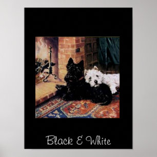 Black & White Dogs Vintage Poster
